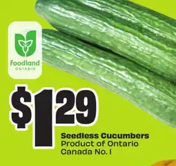 Chalo FreshCo Seedless Cucumbers Product of Ontario Canada No. 1 offer