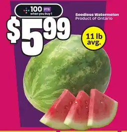 Chalo FreshCo Seedless Watermelon Product of Ontario offer