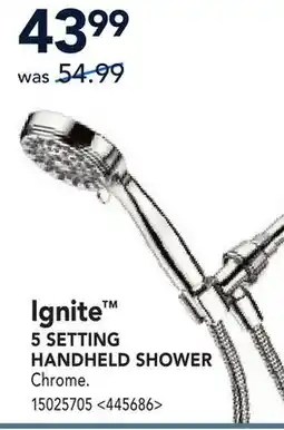 RONA MOEN Ignite 5 SETTING HANDHELD SHOWER offer
