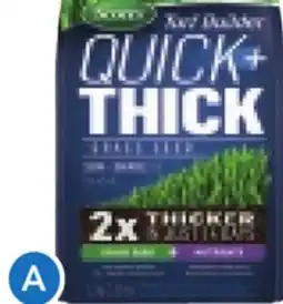 RONA 1.2-kg SCOTTS Grass seeds offer