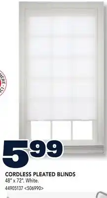 RONA CORDLESS PLEATED BLINDS offer
