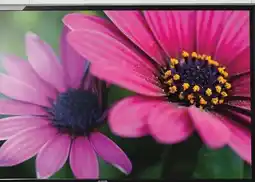 Walmart onn. 24 FHD LED monitor offer