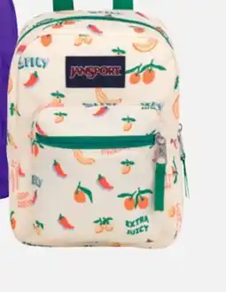 Sports Experts JANSPORT Big Break Insulated lunch bag offer