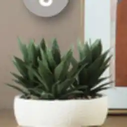 Canac Artificial Agave Plant with White Cement Pot offer