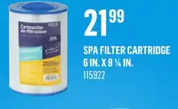 Canac Spa Filter Cartridge offer
