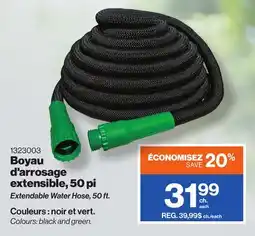 Patrick Morin Extendable Water Hose, 50 ft offer