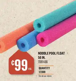 Canac Noodle Pool Float 56 in offer