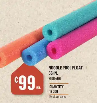 Canac Noodle Pool Float 56 in offer