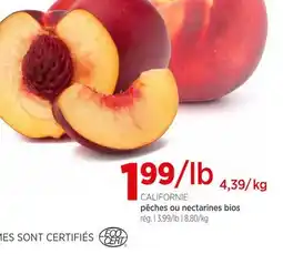 Avril Pêches ou nectarines bios offer