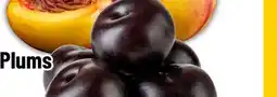Mayrand Black Plums offer