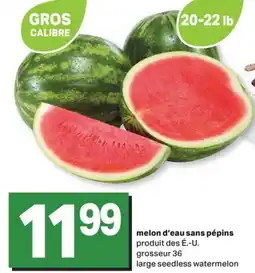 L'Intermarché MELON D'EAU SANS PÉPINS | LARGE SEEDLESS WATERMELON, GROSSEUR 36 offer