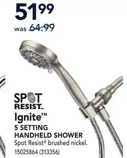 RONA MOEN Ignite 5 SETTING HANDHELD SHOWER offer
