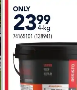 RONA PRO PLASTIC CEMENT offer