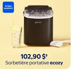 Walmart Sorbetière portative ecozy offer