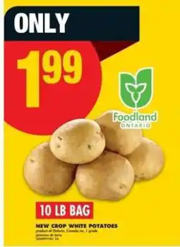 No Frills 10 LB BAG NEW CROP WHITE POTATOES offer