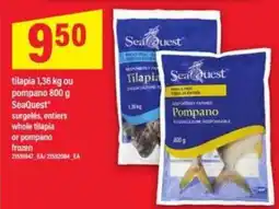 Maxi SeaQuest Tilapia ou Pompano offer