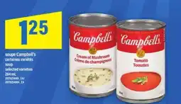 Maxi CAMPBELL’S SOUP offer