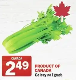 IGA Celery offer