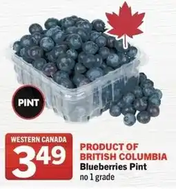 IGA Blueberries pint offer