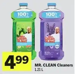 IGA Mr. clean cleaners offer