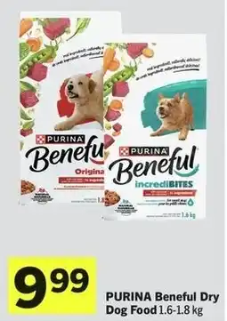 IGA Purina beneful dry dog food offer