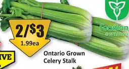 Starsky Ontario Grown Celery Stalk offer