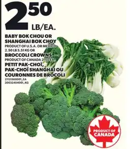 Independent City Market BABY BOK CHOU OR SHANGHAI BOK CHOY 2.50 LB 5.51 KG OR BROCCOLI CROWNS offer