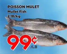 Marche Salaberry POISSON MULET offer