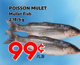 Marche Salaberry POISSON MULET offer