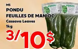 Marche Salaberry PONDU FEUILLES DE MANIOC offer