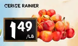 Marche Salaberry CERISE RAINIER offer