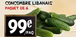 Marche Salaberry CONCOMBRE LIBANAIS offer