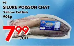 Marche Salaberry 99 SILURE POISSON CHAT offer