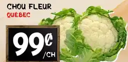 Marche Salaberry CHOU FLEUR offer