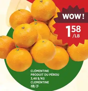 Kim Phat CLEMENTINE offer