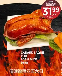 Kim Phat ROAST DUCK offer