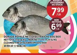 Kim Phat CLEANED FRESH SEABREAM offer
