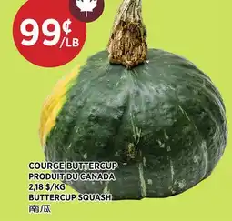 Kim Phat BUTTERCUP SQUASH offer