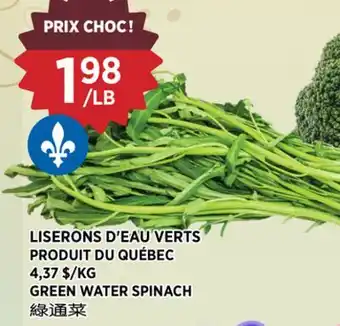 Kim Phat GREEN WATER SPINACH offer