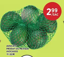 Kim Phat AVOCADOS offer