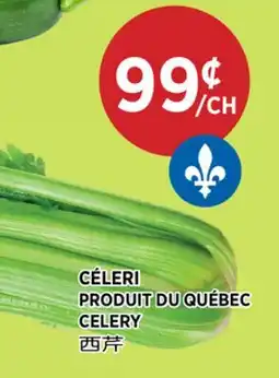 Kim Phat CELERY offer