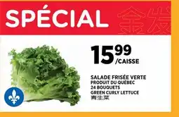 Kim Phat GREEN CURLY LETTUCE offer