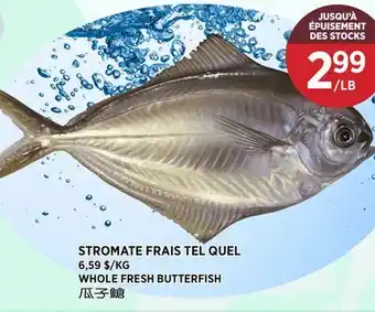 Kim Phat WHOLE FRESH BUTTERFISH offer