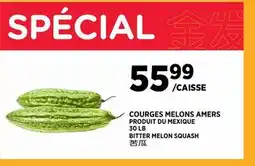 Kim Phat BITTER MELON SQUASH offer