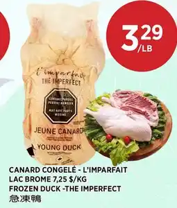 Kim Phat LAC BROME FROZEN DUCK -THE IMPERFECT offer