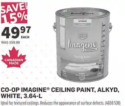 Co-op Co-op imagine ceiling paint, alkyd, white offer