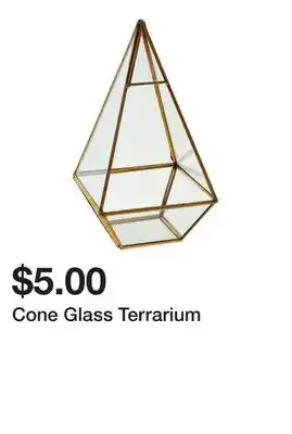 Dollarama Cone Glass Terrarium offer