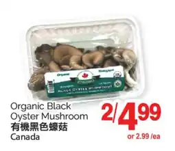 T&T Supermarket ORGANIC BLACK OYSTER MUSHROOMS offer