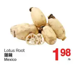 T&T Supermarket LOTUS ROOT offer