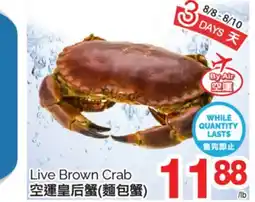 T&T Supermarket LIVE BROWN CRAB offer